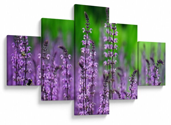 Obraz fioletowych kwiatów polnych (125x70 cm)