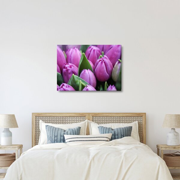 Obraz - kwiaty tulipanów (70x50 cm)