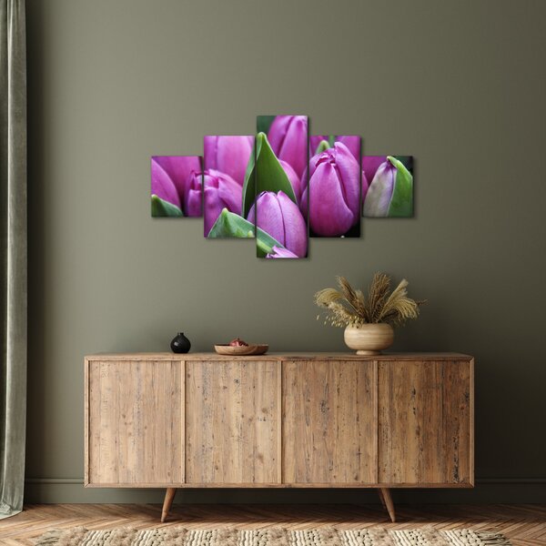 Obraz - kwiaty tulipanów (125x70 cm)