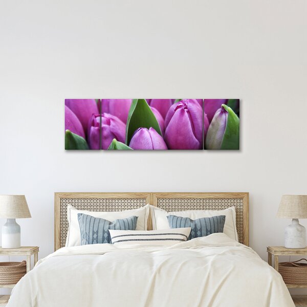 Obraz - kwiaty tulipanów (170x50 cm)