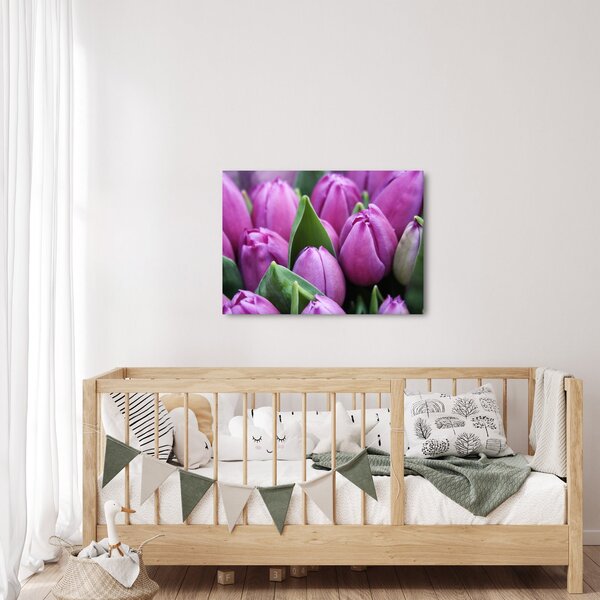 Obraz - kwiaty tulipanów (70x50 cm)