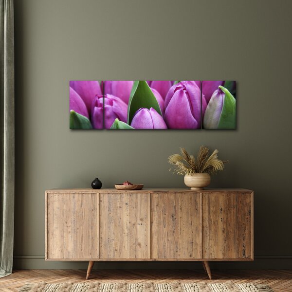 Obraz - kwiaty tulipanów (170x50 cm)