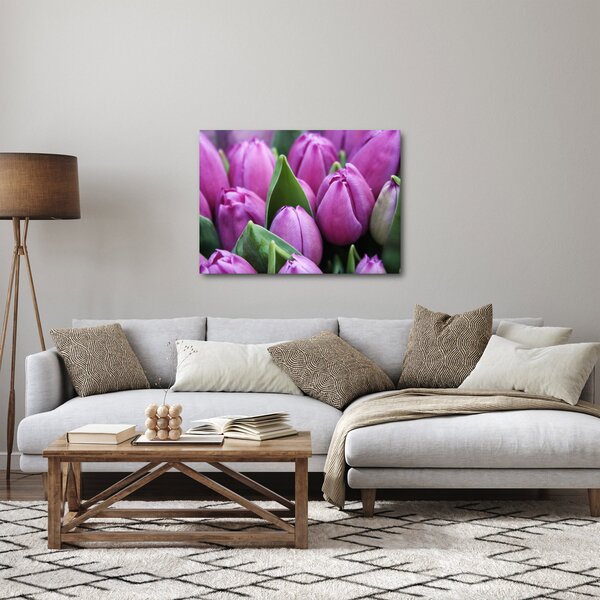 Obraz - kwiaty tulipanów (70x50 cm)