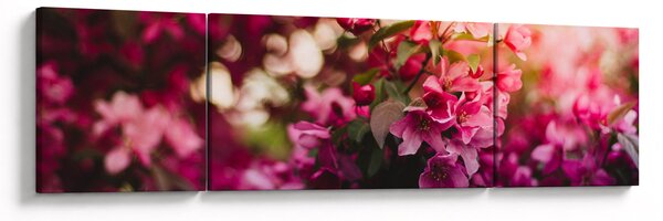 Obraz kwiatów malwy (170x50 cm)
