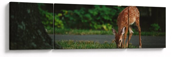 Wizerunek jelonka (170x50 cm)