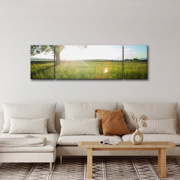 Obraz letniej łąki (170x50 cm)