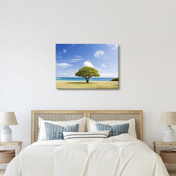 Obraz plaży z drzewem (70x50 cm)