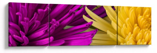 Obraz - szczegóły kwiatów (170x50 cm)