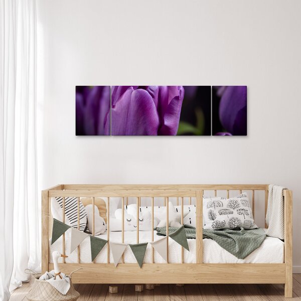 Obraz kwiatów tulipanów (170x50 cm)