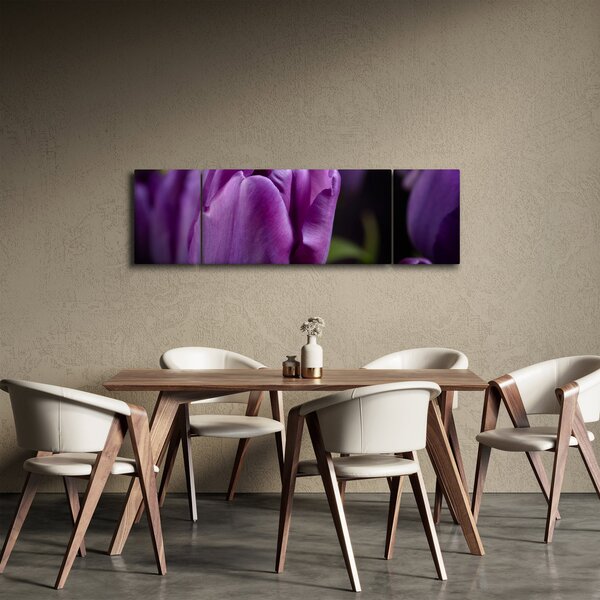 Obraz kwiatów tulipanów (170x50 cm)