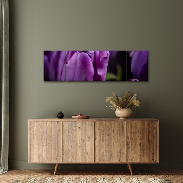Obraz kwiatów tulipanów (170x50 cm)