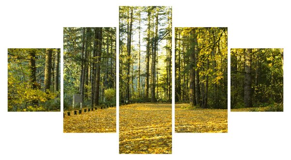 Obraz - las jesienią (125x70 cm)