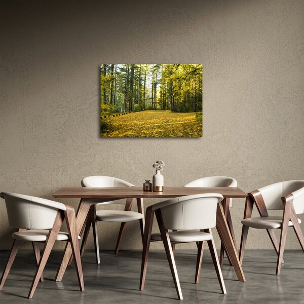 Obraz - las jesienią (70x50 cm)