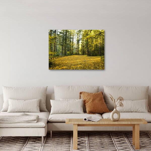 Obraz - las jesienią (70x50 cm)