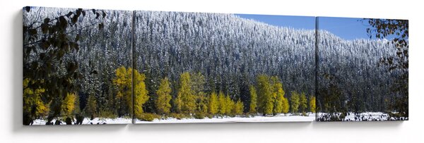 Obraz - ośnieżone góry zimą (170x50 cm)