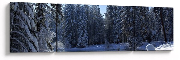 Obraz śnieżnego lasu (170x50 cm)
