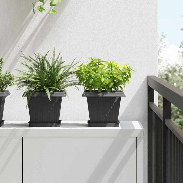 Doniczki 6 pcs Czarny 20 x 20 x 16 cm Z tworzywa sztucznego