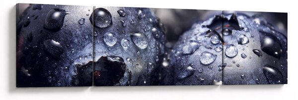 Obraz owoców z kroplami wody (170x50 cm)