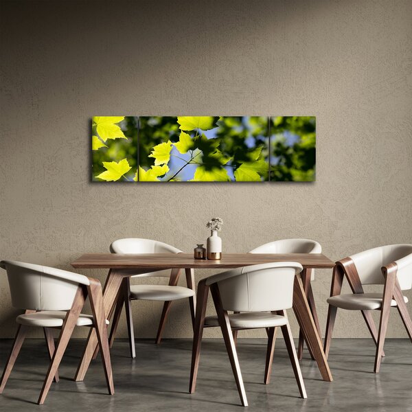 Obraz - liście klonu (170x50 cm)