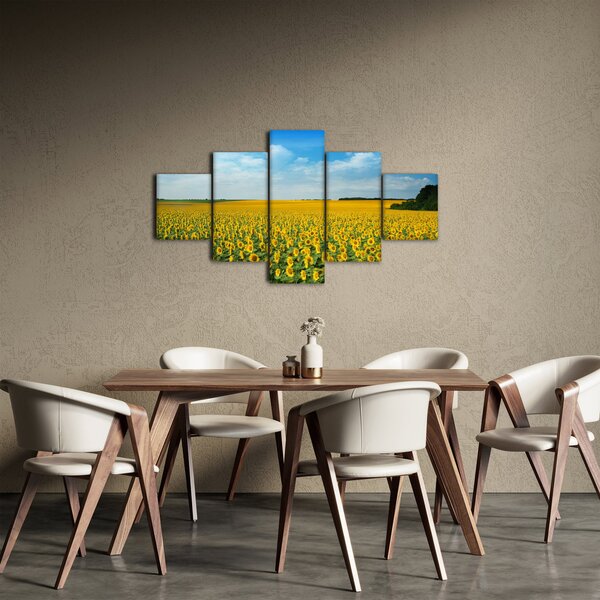 Obraz - ciąg słoneczników (125x70 cm)
