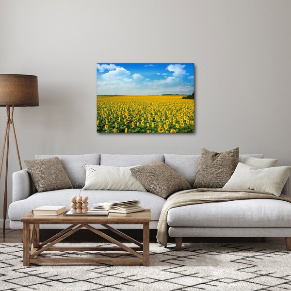 Obraz - ciąg słoneczników (70x50 cm)