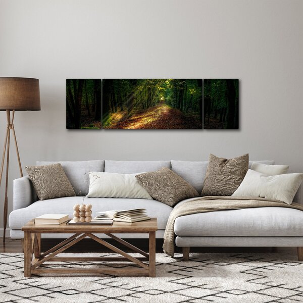 Obraz leśnej ścieżki (170x50 cm)