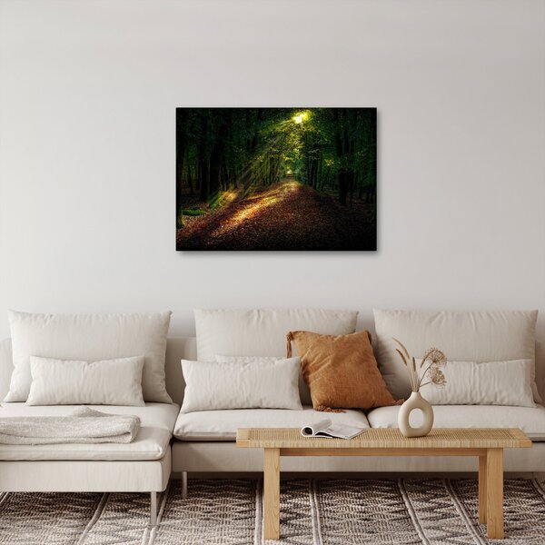 Obraz leśnej ścieżki (70x50 cm)