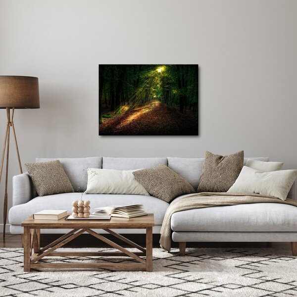 Obraz leśnej ścieżki (70x50 cm)