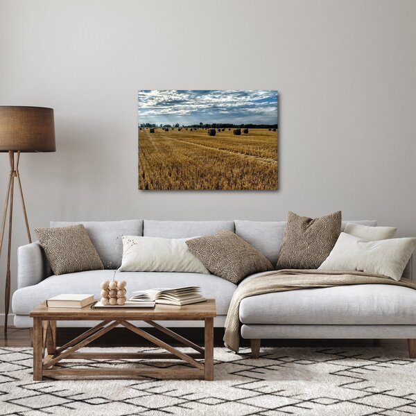 Obraz zebranego pola zboża (70x50 cm)