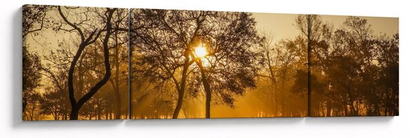 Obraz wschodu słońca (170x50 cm)
