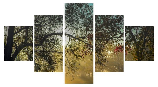 Obraz wschodu słońca (125x70 cm)