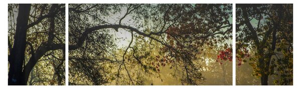 Obraz wschodu słońca (170x50 cm)