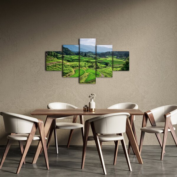 Obraz pól ryżowych (125x70 cm)
