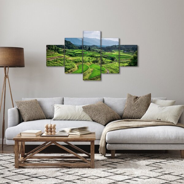 Obraz pól ryżowych (125x70 cm)
