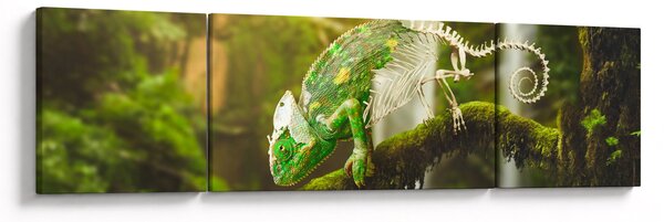 Obraz kameleona (170x50 cm)