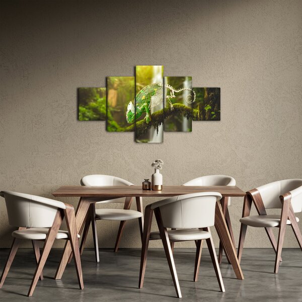 Obraz kameleona (125x70 cm)