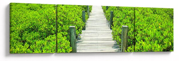 Obraz - drewniany chodnik (170x50 cm)