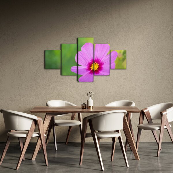 Obraz - polny kwiat (125x70 cm)