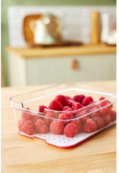 Plastikowy organizer do lodówki Cauma – Rotho