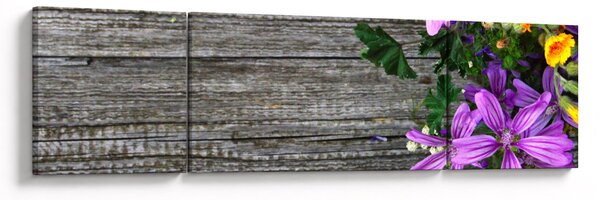 Obraz - kwiaty polne (170x50 cm)