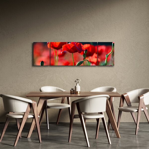 Obraz - maki (170x50 cm)