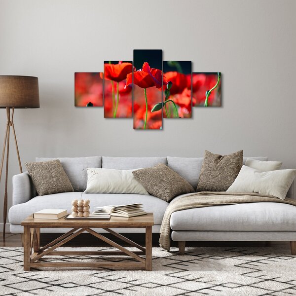 Obraz - maki (125x70 cm)
