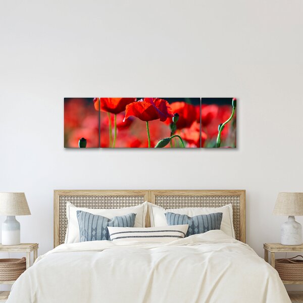 Obraz - maki (170x50 cm)
