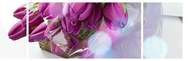 Obraz - bukiet tulipanów (170x50 cm)