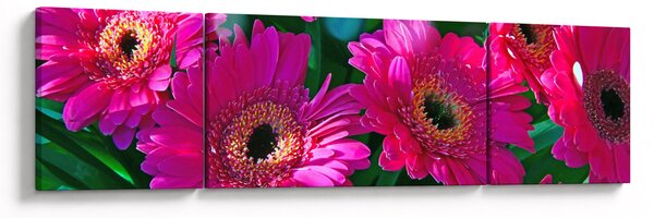 Obraz - kwiaty (170x50 cm)