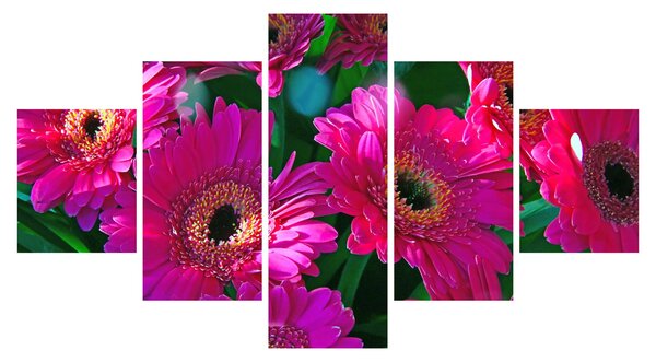 Obraz - kwiaty (125x70 cm)