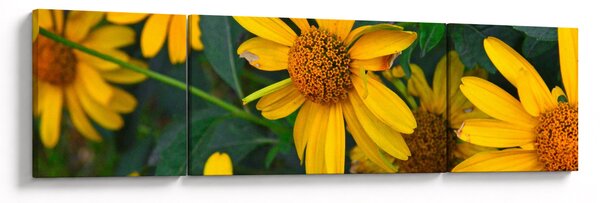 Obraz żółtych kwiatów (170x50 cm)