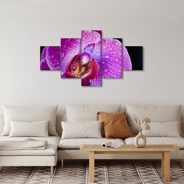 Zbliżenie kwiatu orchidei (125x70 cm)