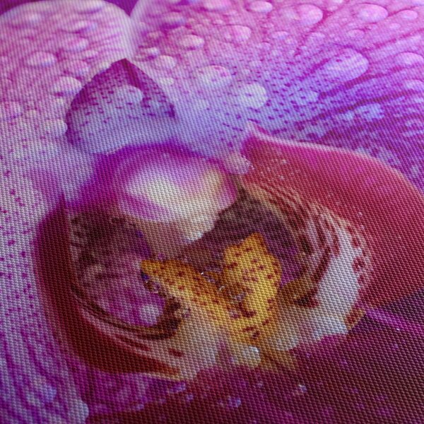 Zbliżenie kwiatu orchidei (125x70 cm)