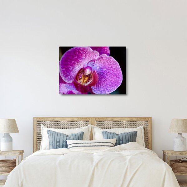 Zbliżenie kwiatu orchidei (70x50 cm)